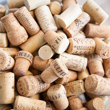 Reeuwijk Bed And Wine Nonsolovino Bed & Breakfast エクステリア 写真