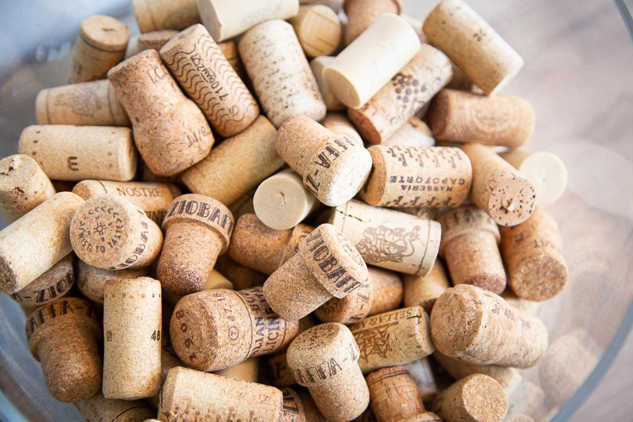 Reeuwijk Bed And Wine Nonsolovino Bed & Breakfast エクステリア 写真